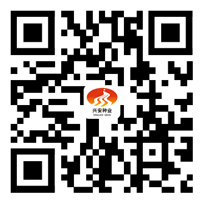 公眾號(hào)二維碼 公眾號(hào)二維碼